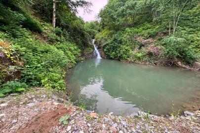 Artvin'de imam ve müezzin girdikleri gölette boğuldu
