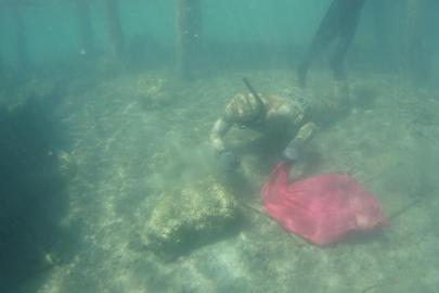 Bodrum'da denizden 250 kilogram çöp çıktı