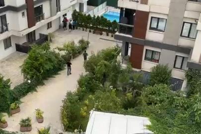 Yeni boşanmış çiftin cansız bedenleri bir sitenin bahçesinde bulundu