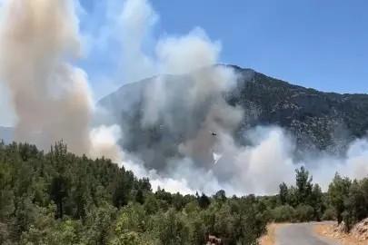 Antalya'daki orman yangını kontrol altında