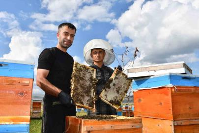 Coğrafi işaretli balın hasadı başladı: Kilosu bin 900 TL