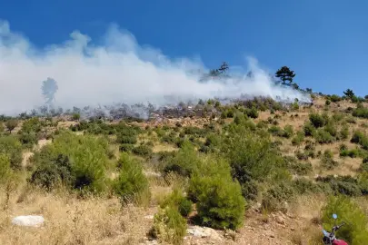 İzmir'de orman yangını. Ekipler müdahale ediyor