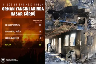 Son orman yangınlarında hasar ne kadar?