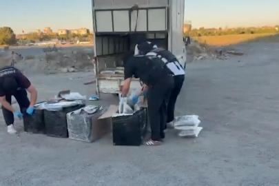 Zeytinburnu'nda uyuşturucu ticaretine darbe. 83 kilogram skunk ele geçirildi